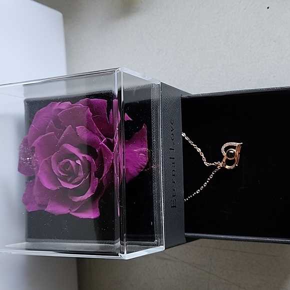 ETERNAL LOVE S925 PROJECTION NECKLACE - Picture 1 of 3